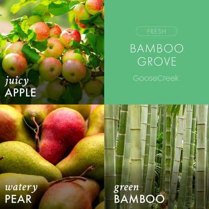 Bamboo Grove 3-Wick Candle