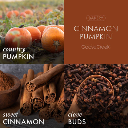 Cinnamon Pumpkin 3-Wick Candle