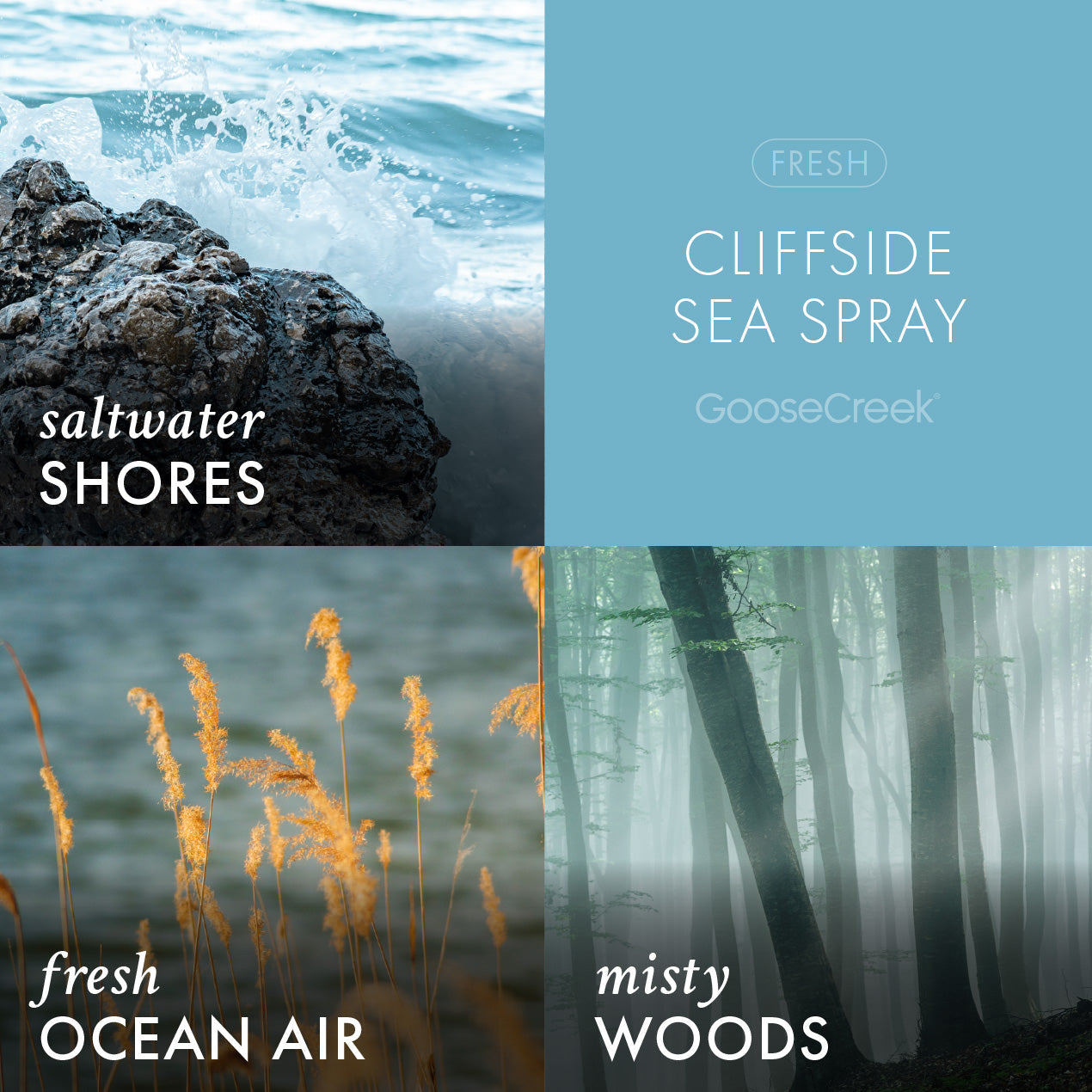 Cliffside Sea Spray Odor Eliminating 3-Wick Candle