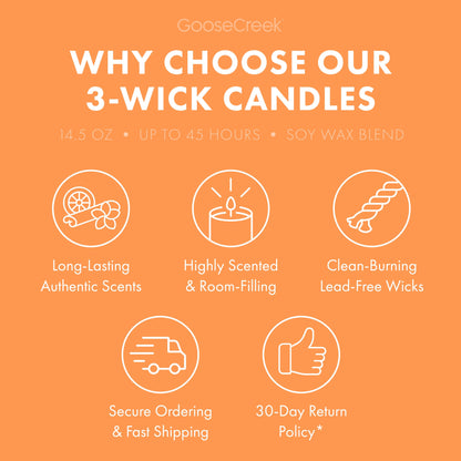 Farmstand Melon 3-Wick Candle