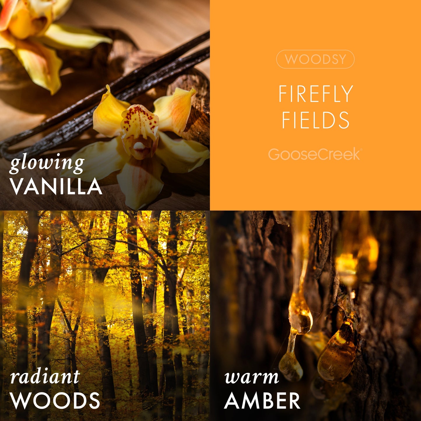 Firefly Fields 3-Wick Candle